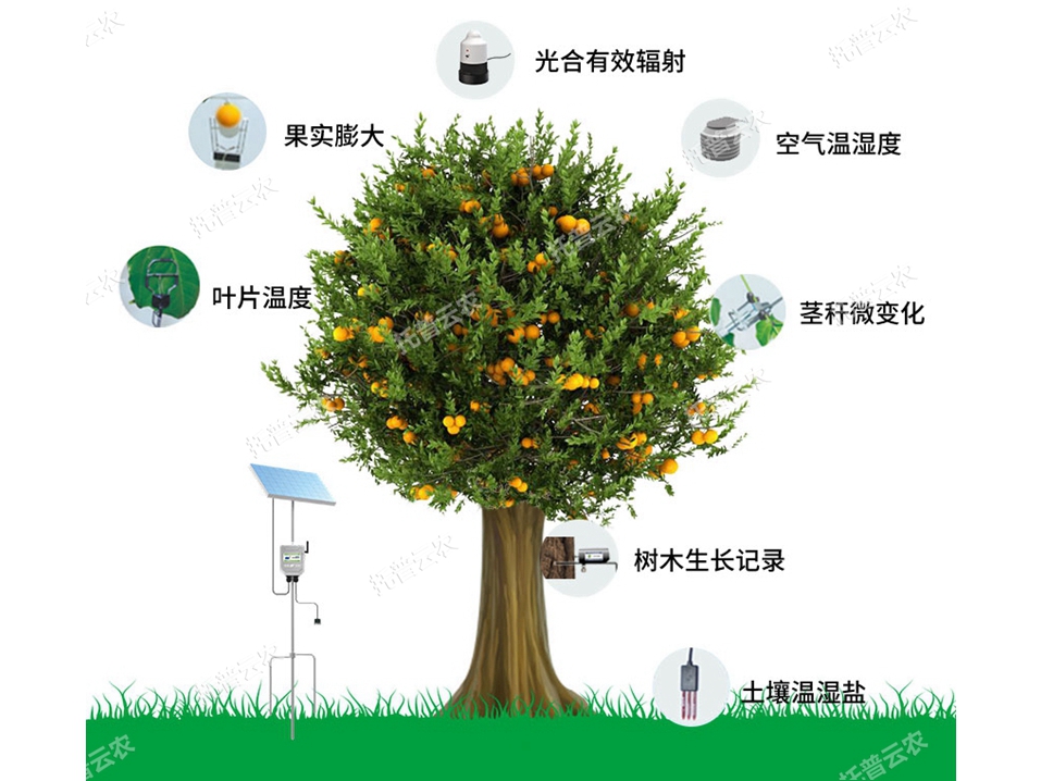 植物生理生態(tài)監(jiān)測系統(tǒng)