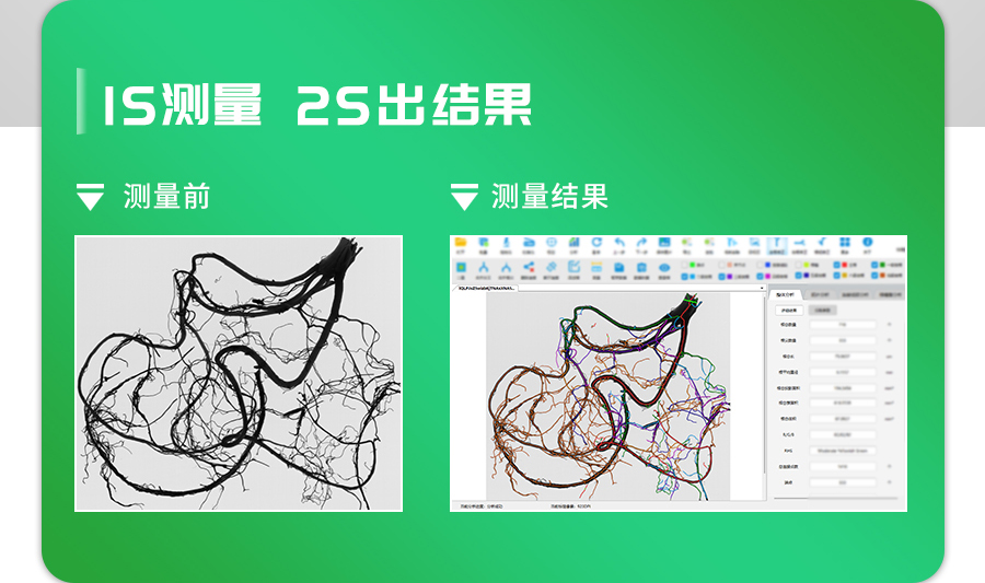 根系分析系統(tǒng)