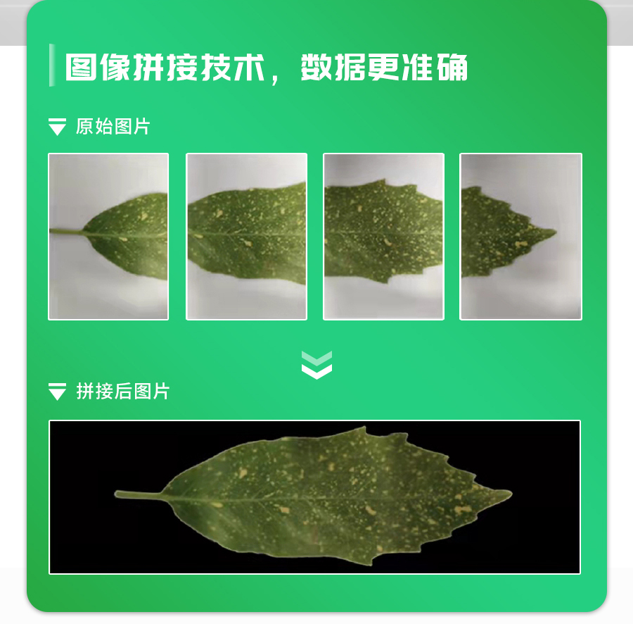 活體葉面積測(cè)定儀